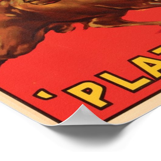 Platero kratellabel - Bull Poster (Hoek)