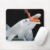 Platinum Alligator Gar Pike Muismat (Met muis)