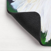 Platinum Betta fish Muismat (Hoek)