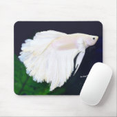 Platinum Betta fish Muismat (Met muis)