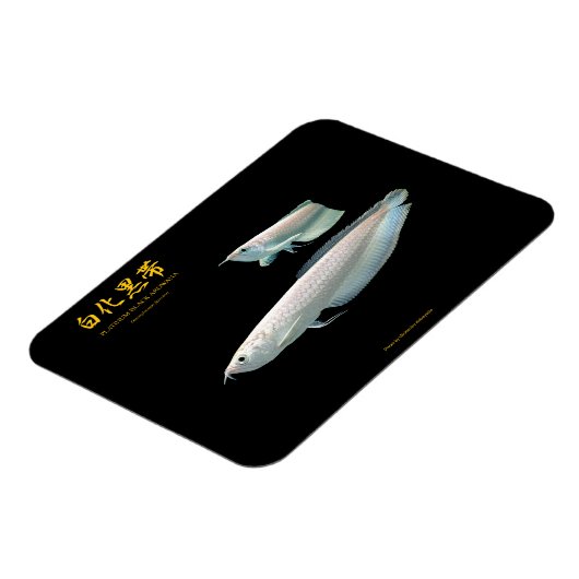 platinum Black Arowana Magneet (Linkerzijde)