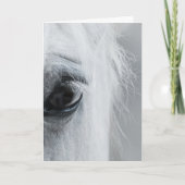 Platinum Equine Wenskaart Kaart (Voorkant)