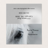 Platinum Horse personaliseert Visitekaartjes (Buitenkant ongevouwen)