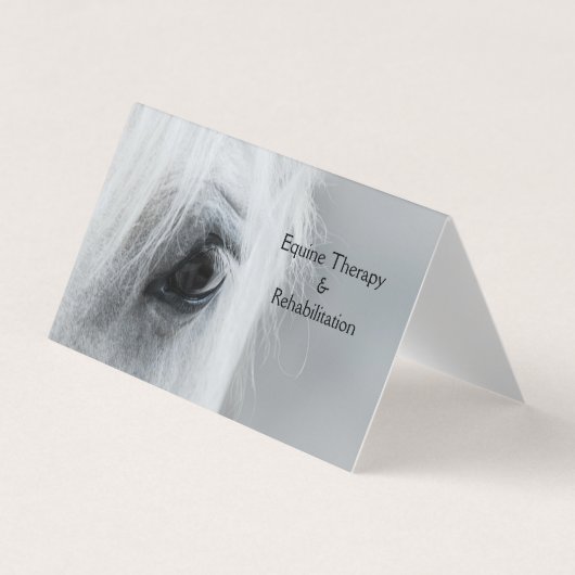 Platinum Horse personaliseert Visitekaartjes (Voorkant)
