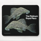 Platinum Royal Pleco Muismat (Voorkant)