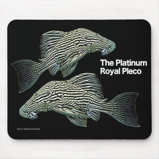 Platinum Royal Pleco Muismat (Voorkant)