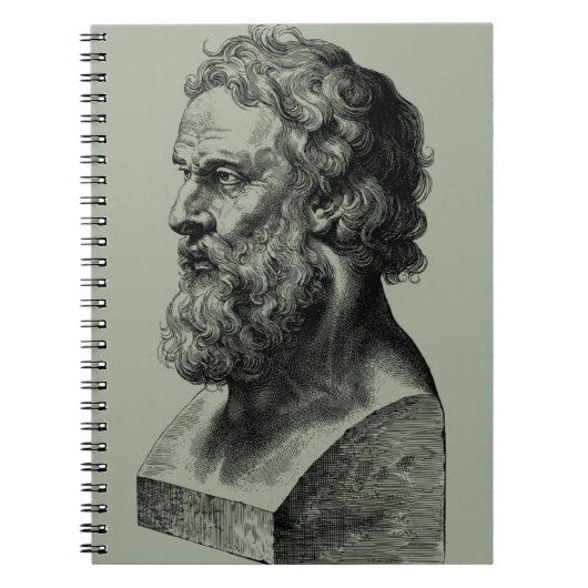 Plato Bust plato, filosofie-illustratie Notitieboek (Voorkant)