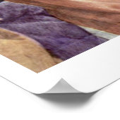 Plato door Raffael Poster (Hoek)