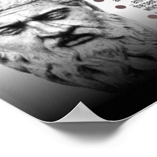 Plato Mathematics citeert Poster (Hoek)