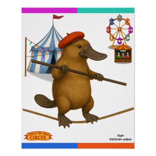 Plato vogelbekdier, koorddanser perfect poster (Voorkant)