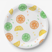 Platos de papel motivos cítricos papieren bordje (Voorkant)