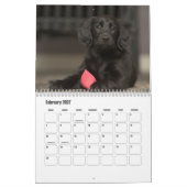 Platte-coated Retriever Calendar Kalender (Feb 2027)
