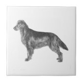 Platte coatings tegeltje (Voorkant)