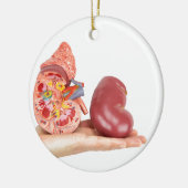 Platte hand met model voor de menselijke nieren keramisch ornament (Links)