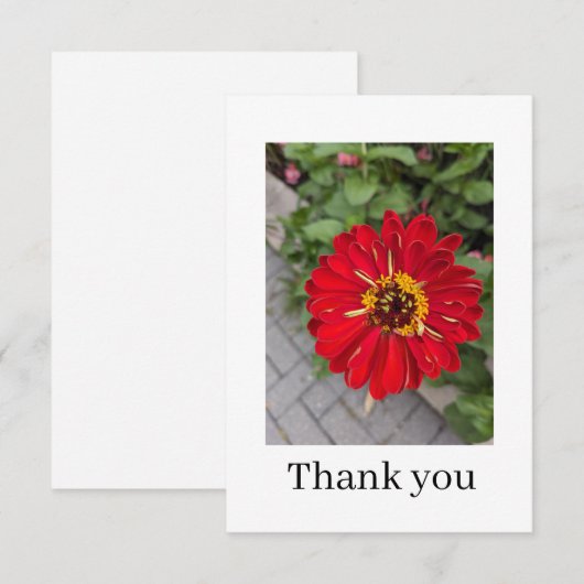 Platte kaart met dankbetuiging (Voorkant / Achterkant)