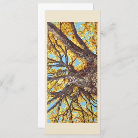 Platte kaart opzoeken (Voorkant / Achterkant)