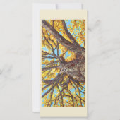 Platte kaart opzoeken (Voorkant)