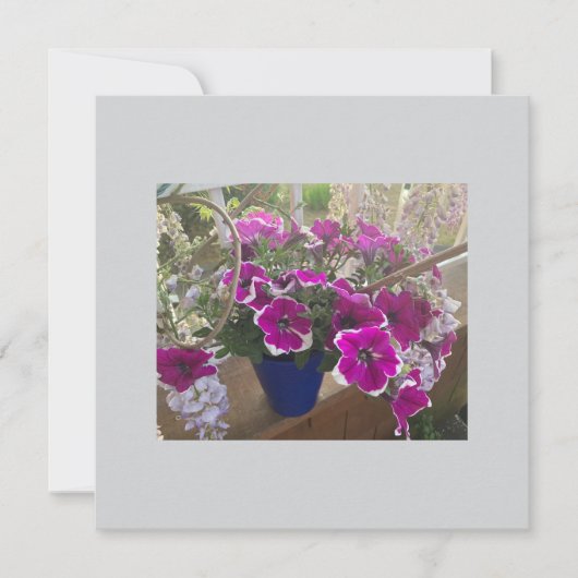 Platte Kaart voor speciale berichten of aankondigi (Voorkant)