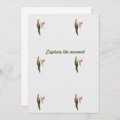 Platte noot save the date (Voorkant / Achterkant)