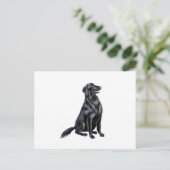 Platte omhulde retriever (b) briefkaart (Staand voorkant)
