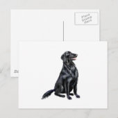 Platte omhulde retriever (b) briefkaart (Voorkant / Achterkant)