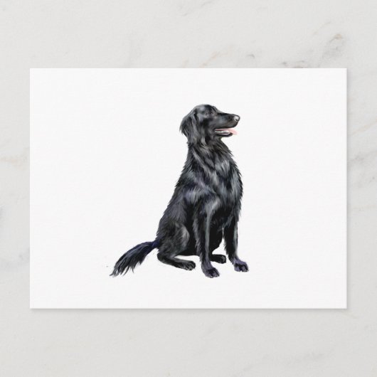 Platte omhulde retriever (b) briefkaart (Voorkant)