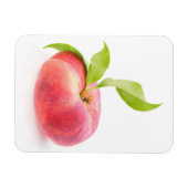 Platte peren magneet (Horizontaal)