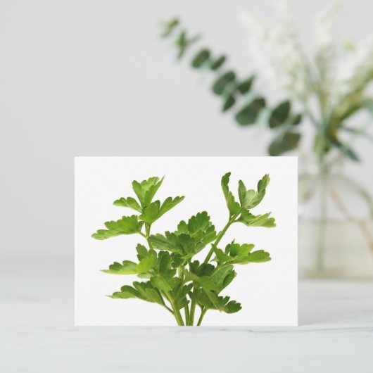 Platte peterselie briefkaart (Staand voorkant)