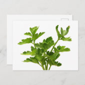 Platte peterselie briefkaart (Voorkant / Achterkant)