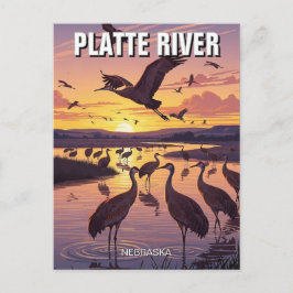 Platte River Sandhill Cranes Nebraska Travel Briefkaart