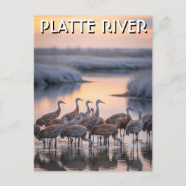 Platte River Sandhill Cranes Nebraska Travel Briefkaart