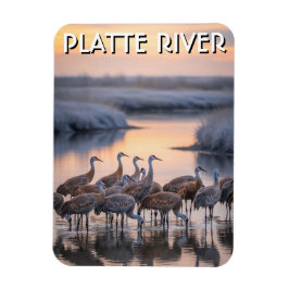 Platte River Sandhill Cranes Nebraska Travel Magneet