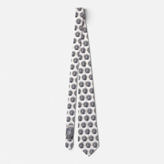 Platte verfschildering van een opbergplaats - Oors Stropdas (Achterkant)