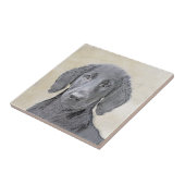 Platte verfschildering van een opbergplaats - Oors Tegeltje (Zijkant)