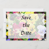 Platte viooltjes gemengde kleuren Save the Date (Achterkant)