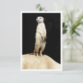 Platte wenskaart - stokstaartje liefde kaart (Staand voorkant)