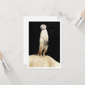 Platte wenskaart - stokstaartje liefde kaart (Voorkant / Achterkant in situ)