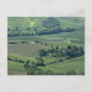 Platteland bij Montepulciano, Val d'Orcia, Briefkaart