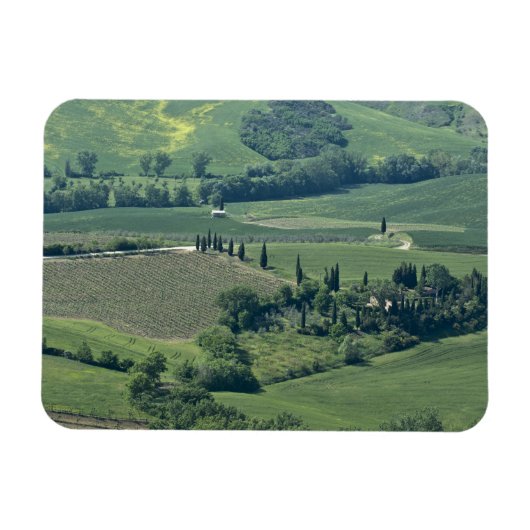 Platteland bij Montepulciano, Val d'Orcia, Magneet (Horizontaal)