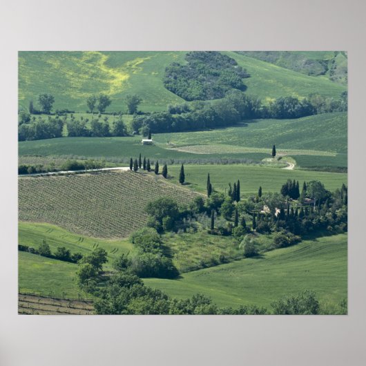 Platteland bij Montepulciano, Val d'Orcia; Poster (Voorkant)
