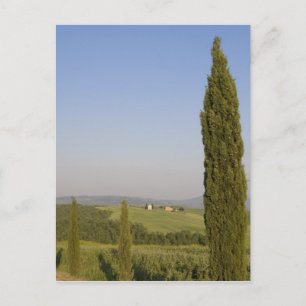 Platteland bij Pienza. Val d'Orcia, Siena Briefkaart