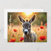 Platteland ezel nieuwsgierige ogen vredige kunst briefkaart (Voorkant / Achterkant)