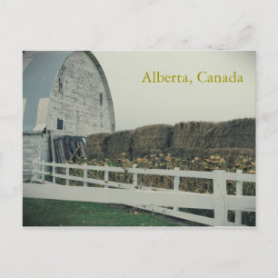 Plattelandsansichtkaart van Alberta Briefkaart
