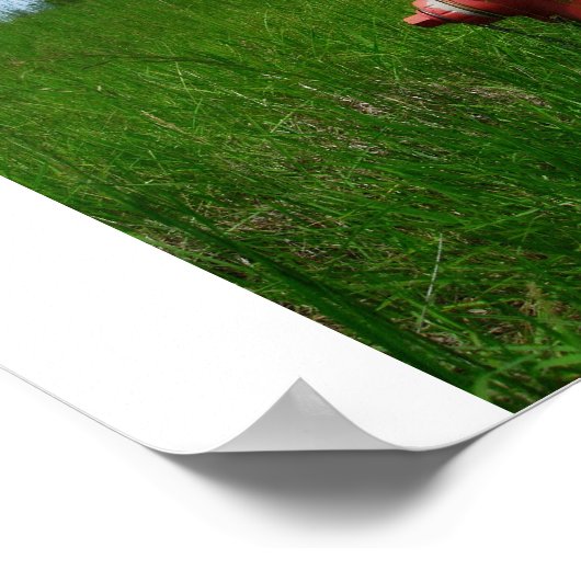 Plattelandsbrandweer Poster (Hoek)