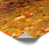 Plattelandsgebied - Buiten - wanneer de natuur roe Poster (Hoek)