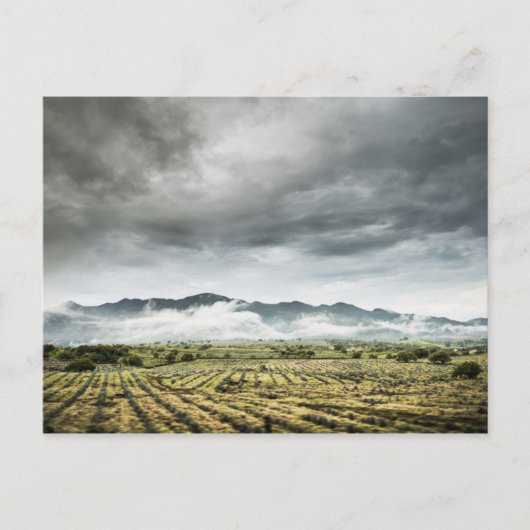 Plattelandsgebieden onder het Cloudy Sky Briefkaart (Voorkant)