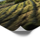 Plattelandsgebieden onder het Cloudy Sky Poster (Hoek)