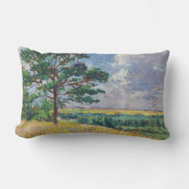 Plattelandslandschap rond Méréville, Frankrijk (ar Kussen