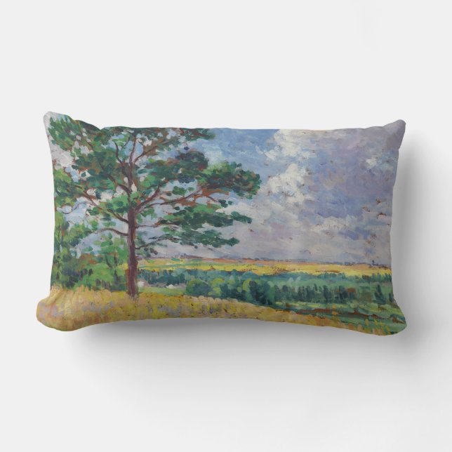 Plattelandslandschap rond Méréville, Frankrijk (ar Kussen (Voorkant)