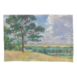 Plattelandslandschap rond Méréville, Frankrijk (ar Kussensloop